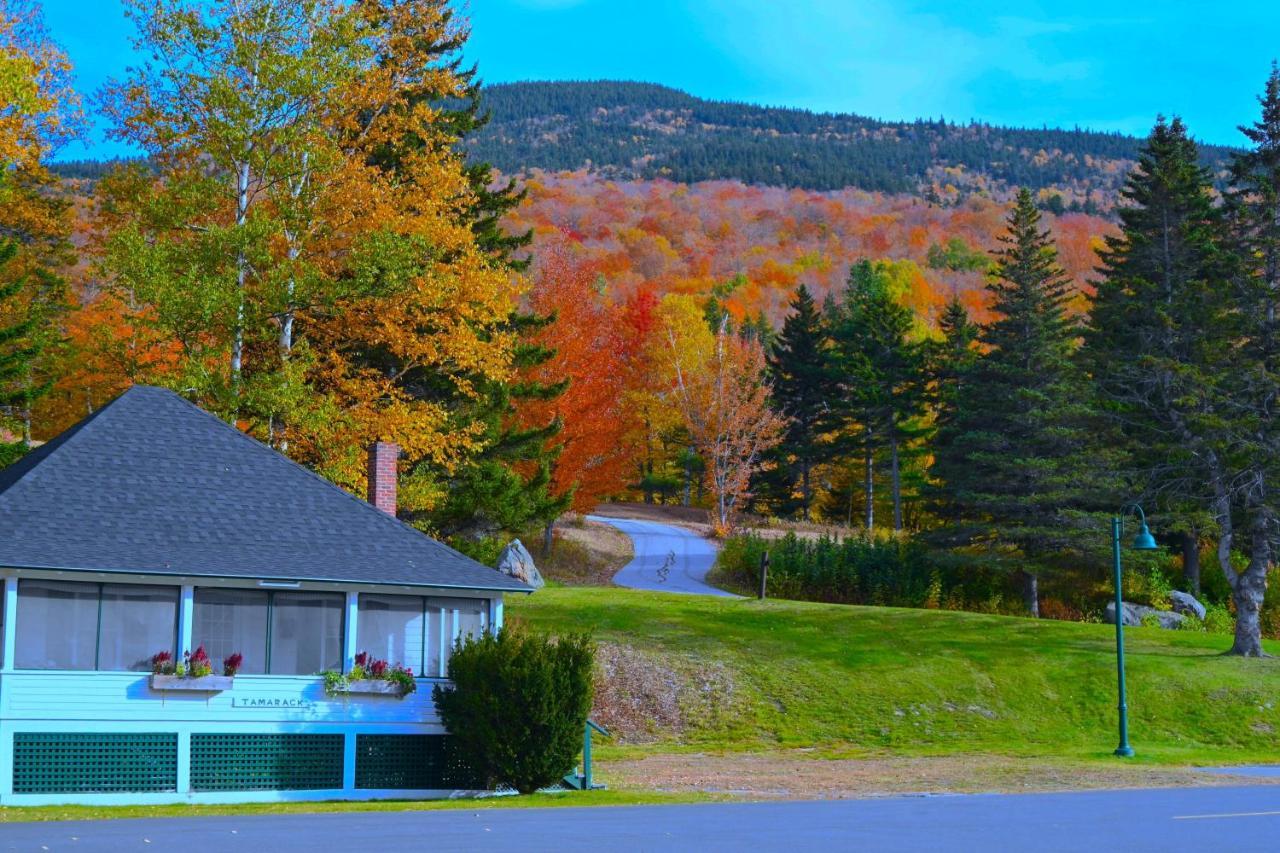 The Lodge At Jackson Village Exterior foto